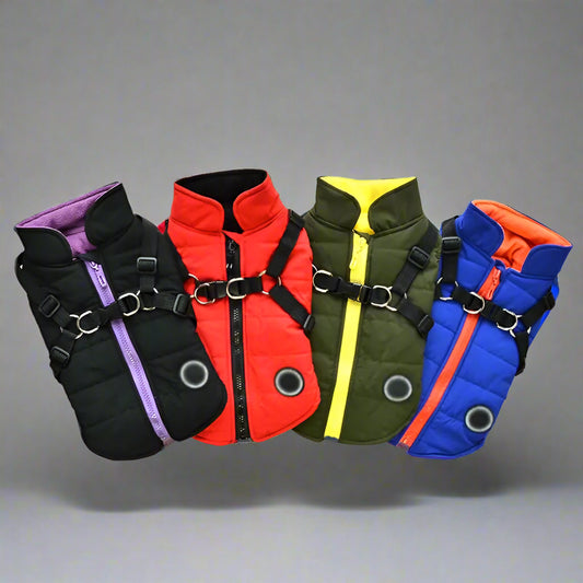 Waterproof Pet Coat with Harness