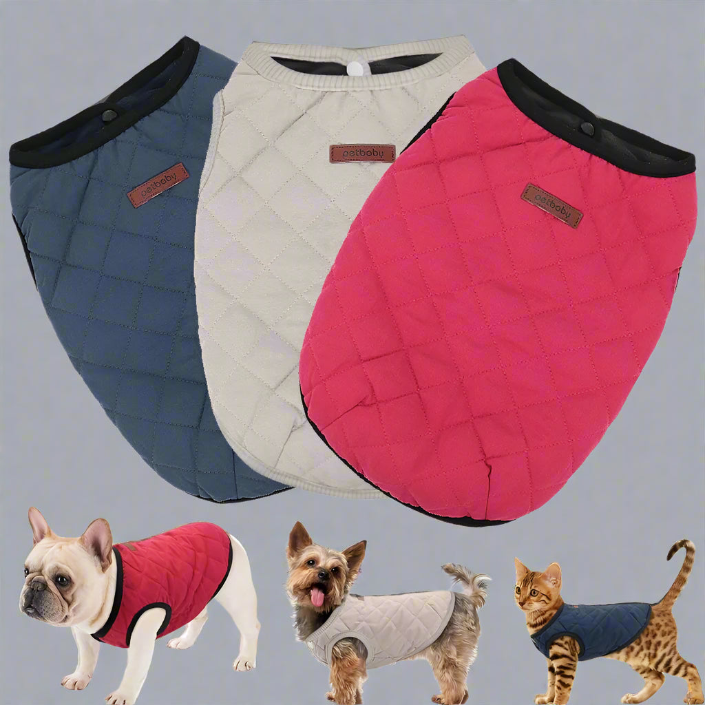 Basic Dog Jacket