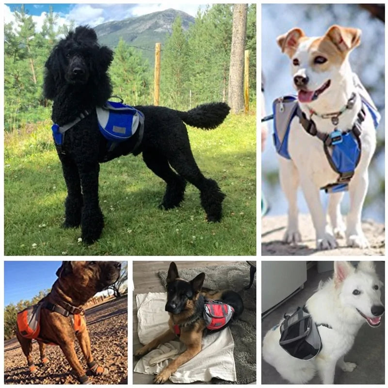 Dog Harness Backpack