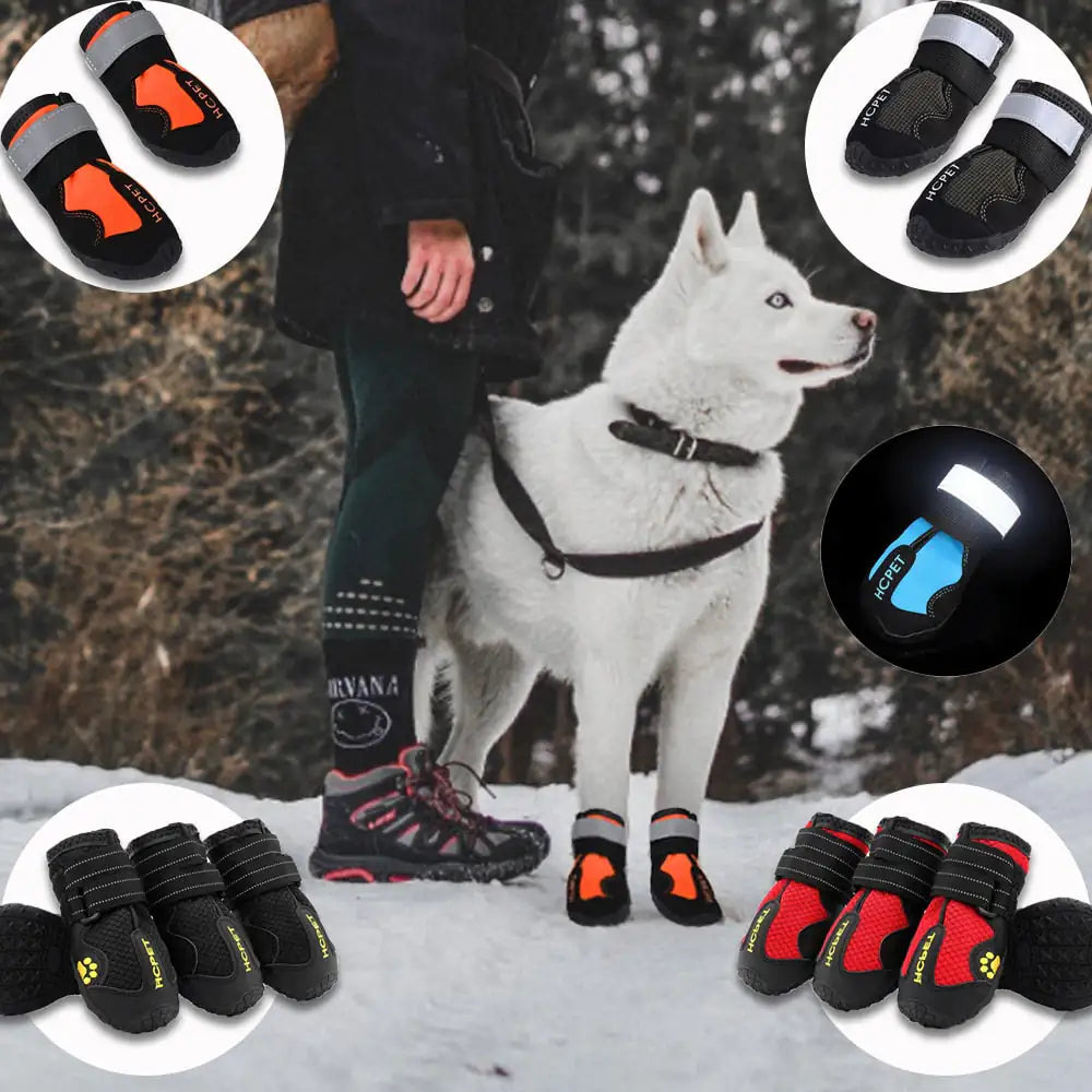 All-Weather Reflective Dog Boots