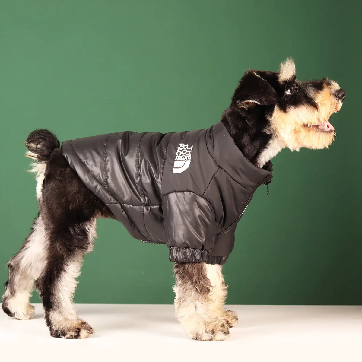 Winterbreak Dog Coat