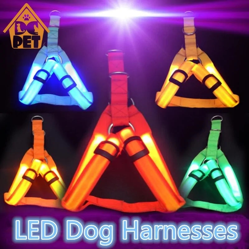 Nylon Dog LED Harness