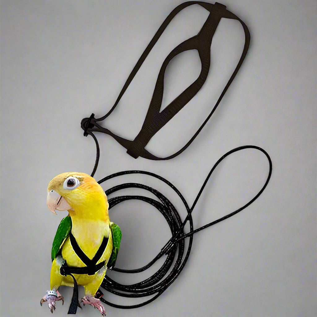 Anti-Bite Bird Harness Leash