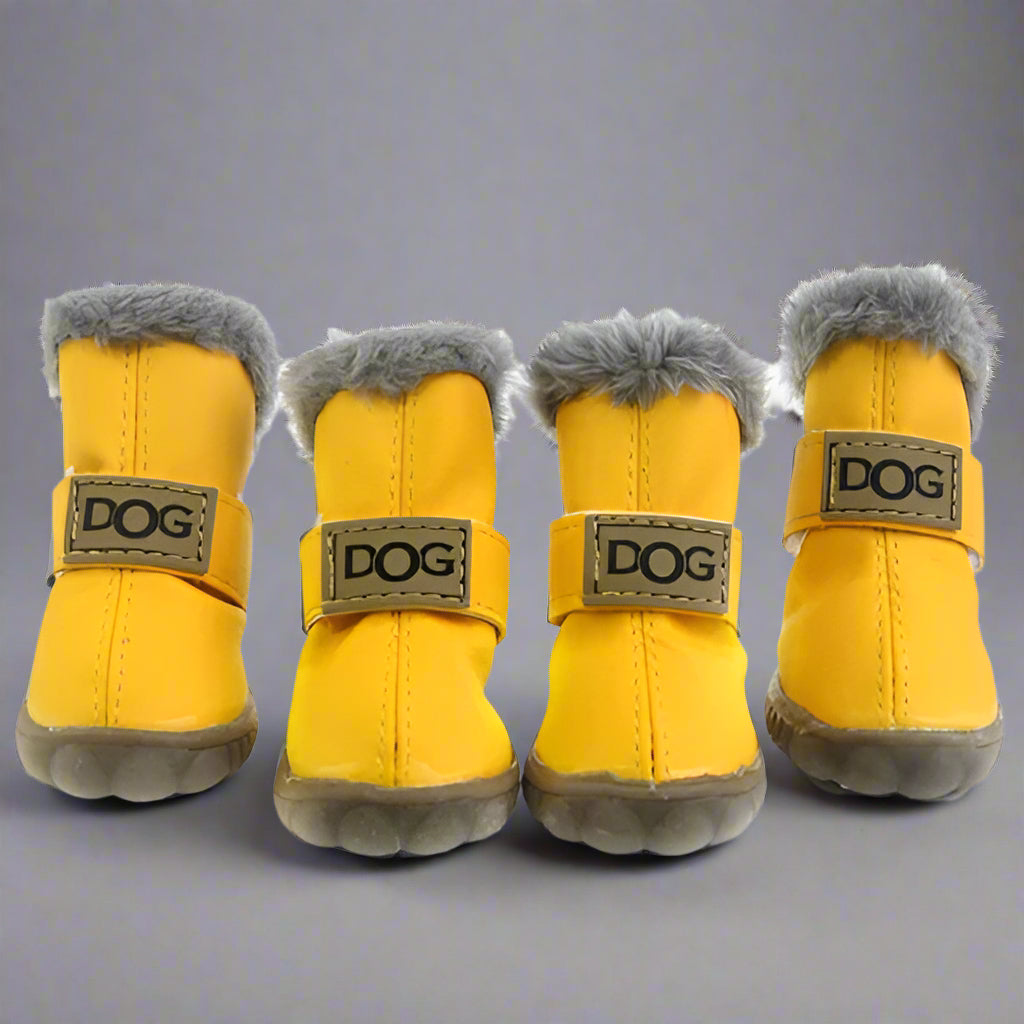 Dog Shoes