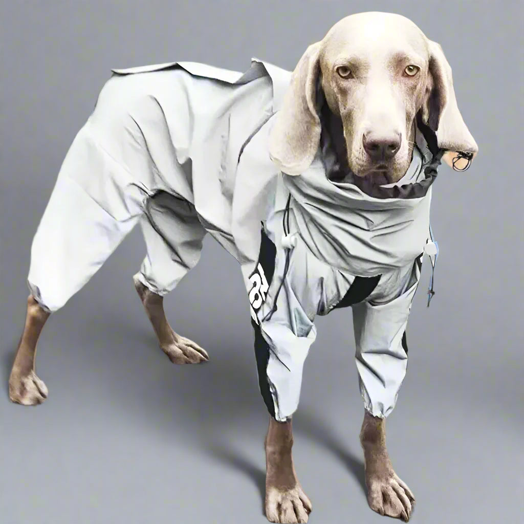 Reflective Dog Raincoat