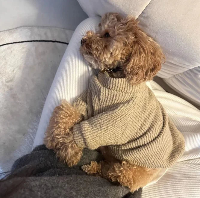 Dog Sweater