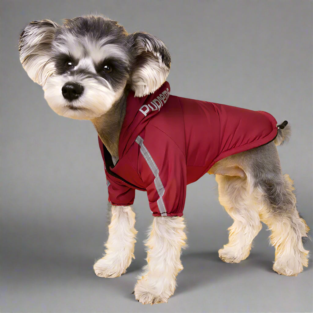 Waterproof Dog Jacket