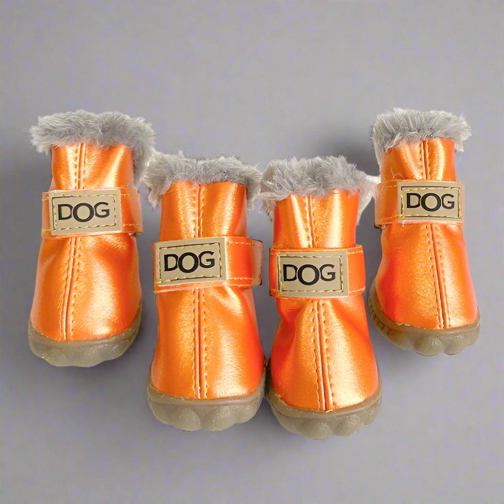 Dog Shoes