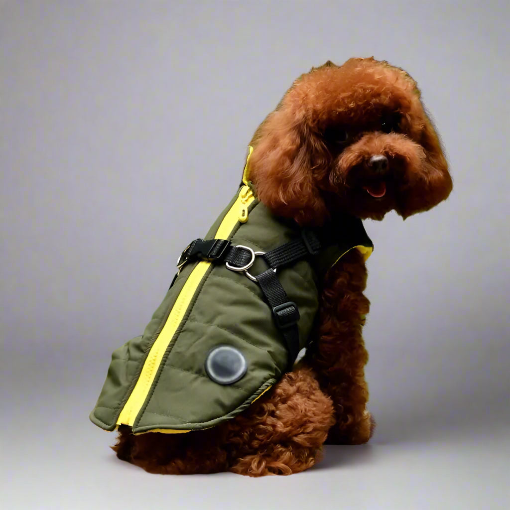 Waterproof Pet Coat with Harness