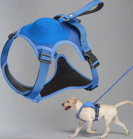 Dog Harness with Retractable Leash