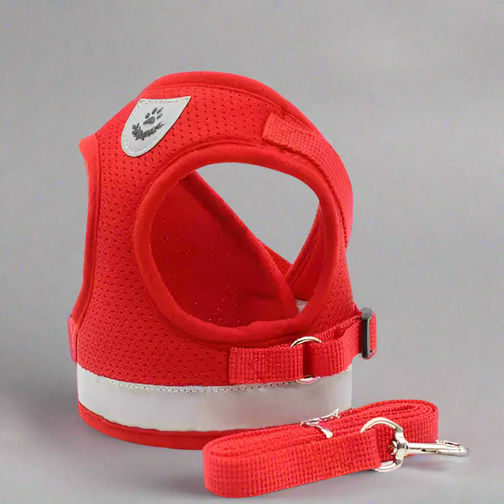 Cat Harness And Leash Set