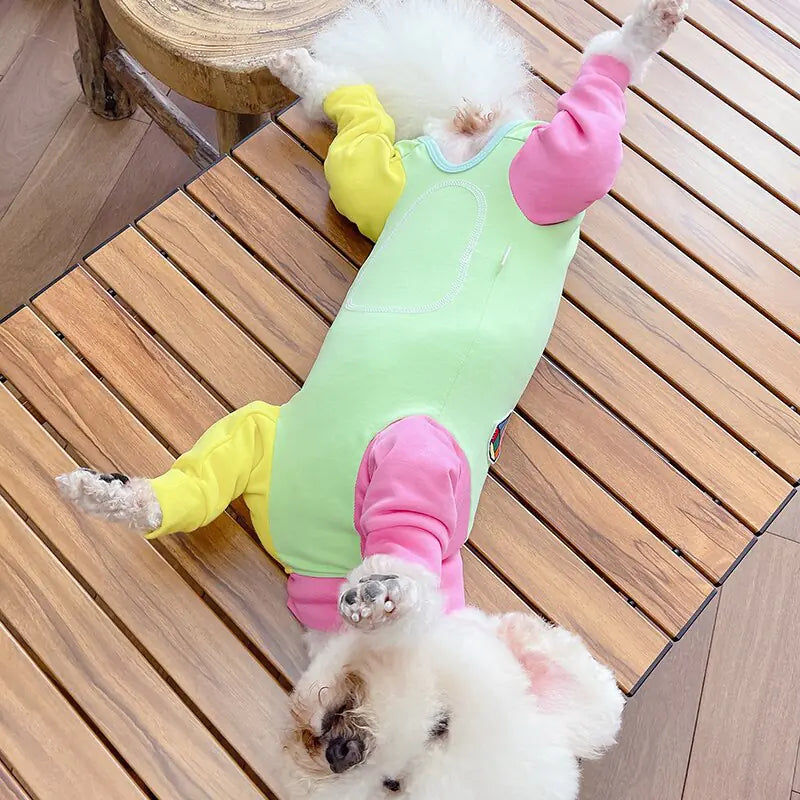 Dog Jumpsuit