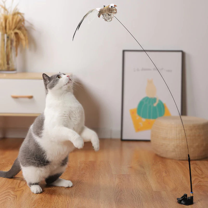 Bird Toy For Cat