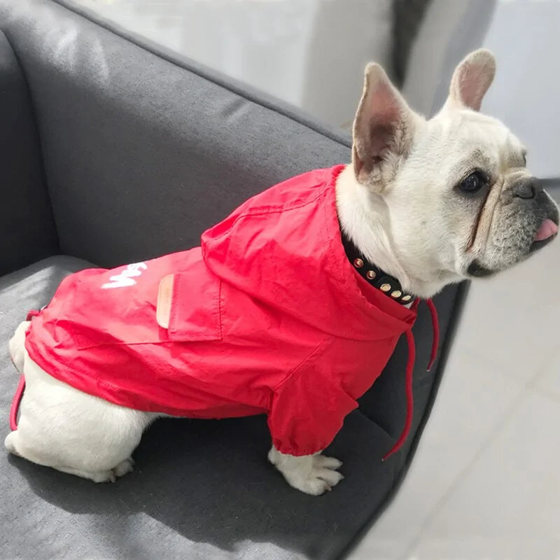 Dog Jacket