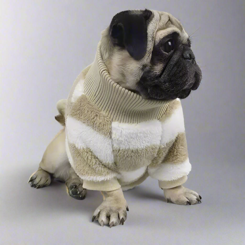 Small Dog Sweater