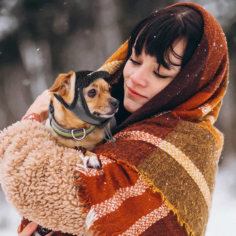 Winter Dog Hat