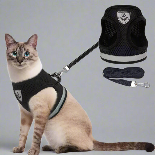 Cat Harness And Leash Set