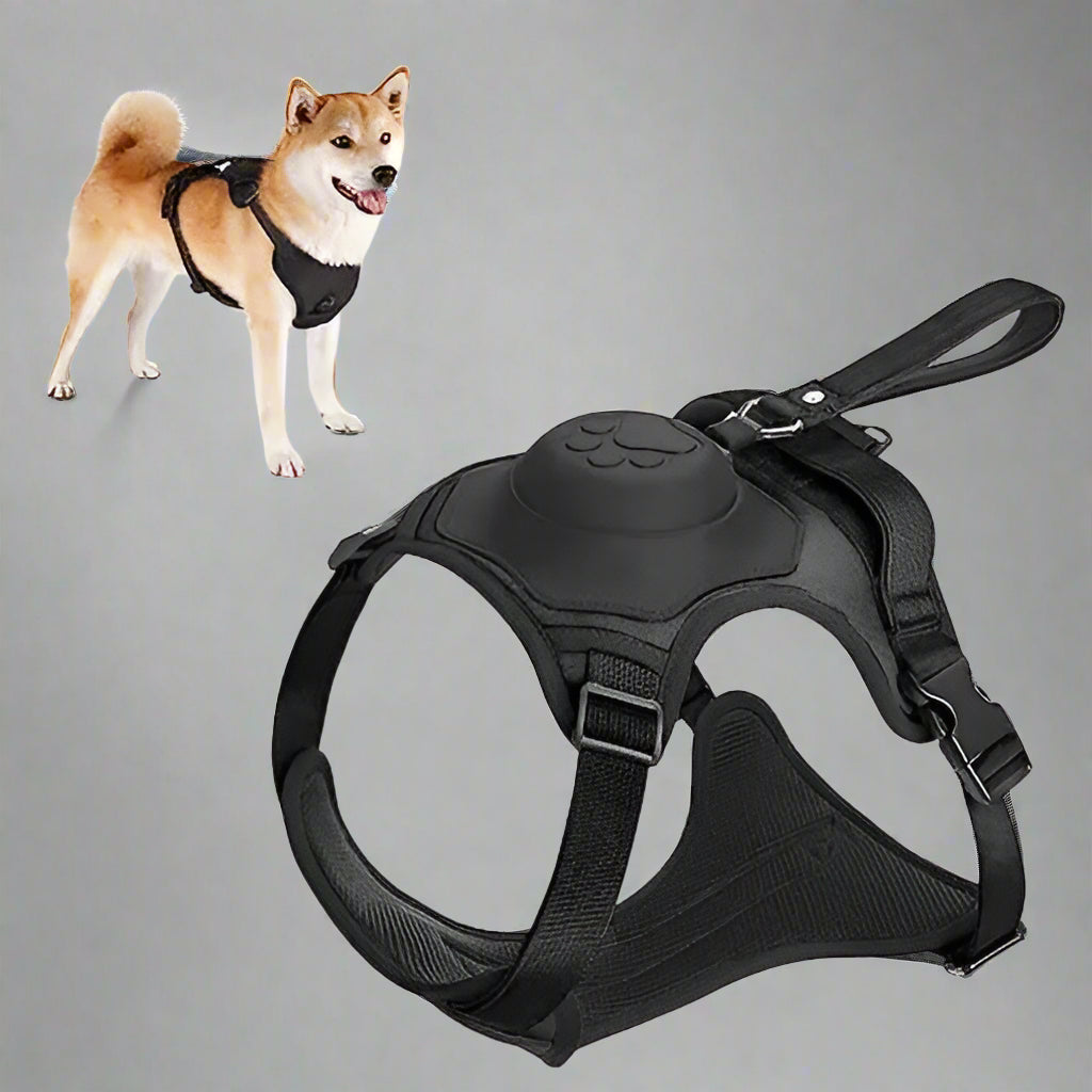 Dog Harness with Retractable Leash