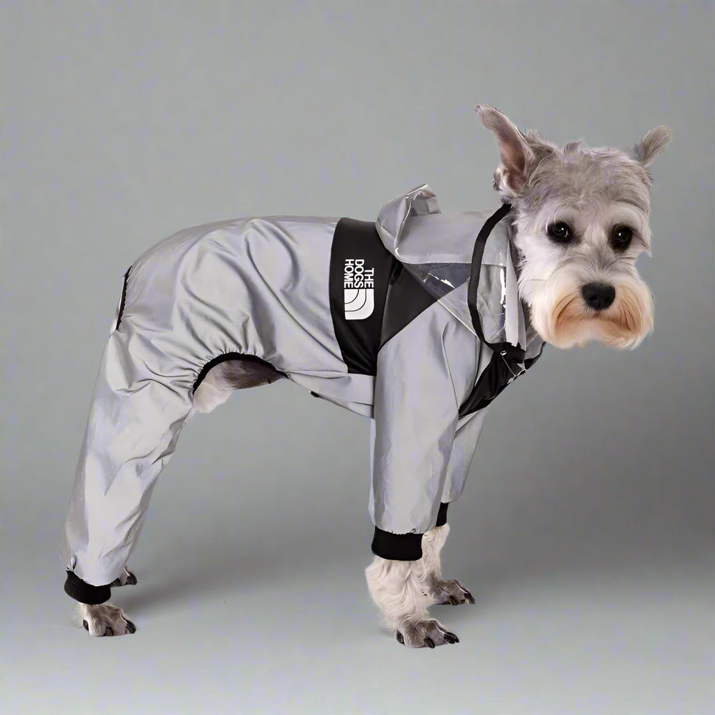 Dog Reflective Raincoat