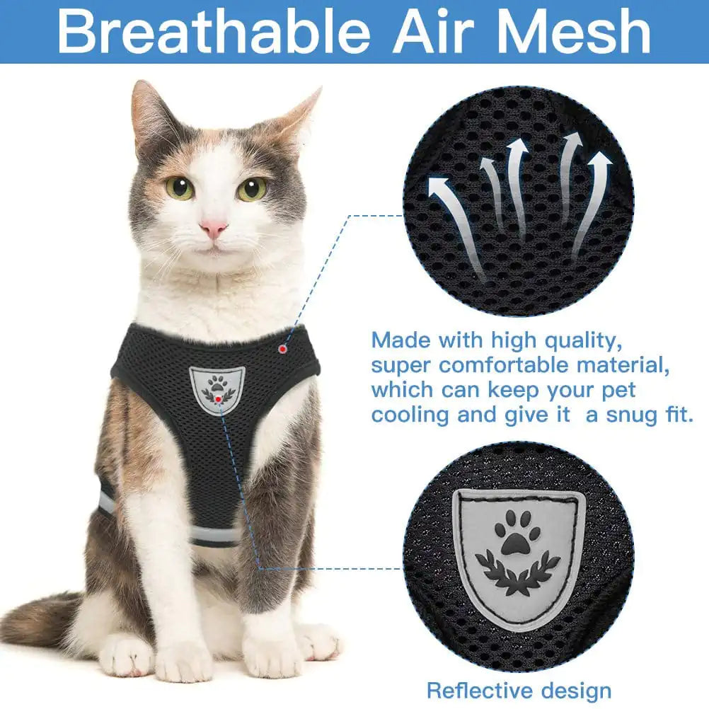 Cat Harness And Leash Set