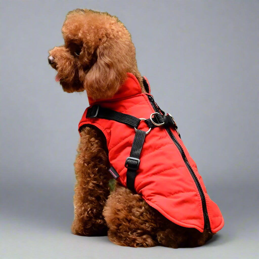 Waterproof Pet Coat with Harness