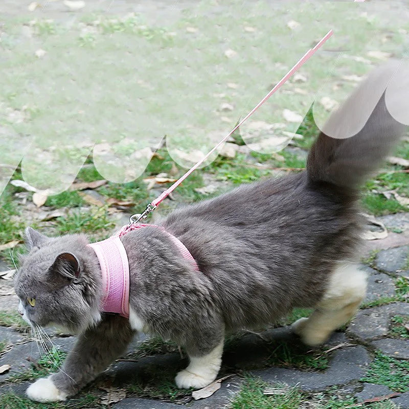 Anti-skidding Cat Harness