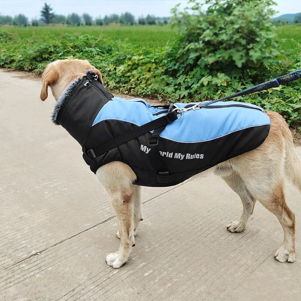 Waterproof Dog Coat with Harness