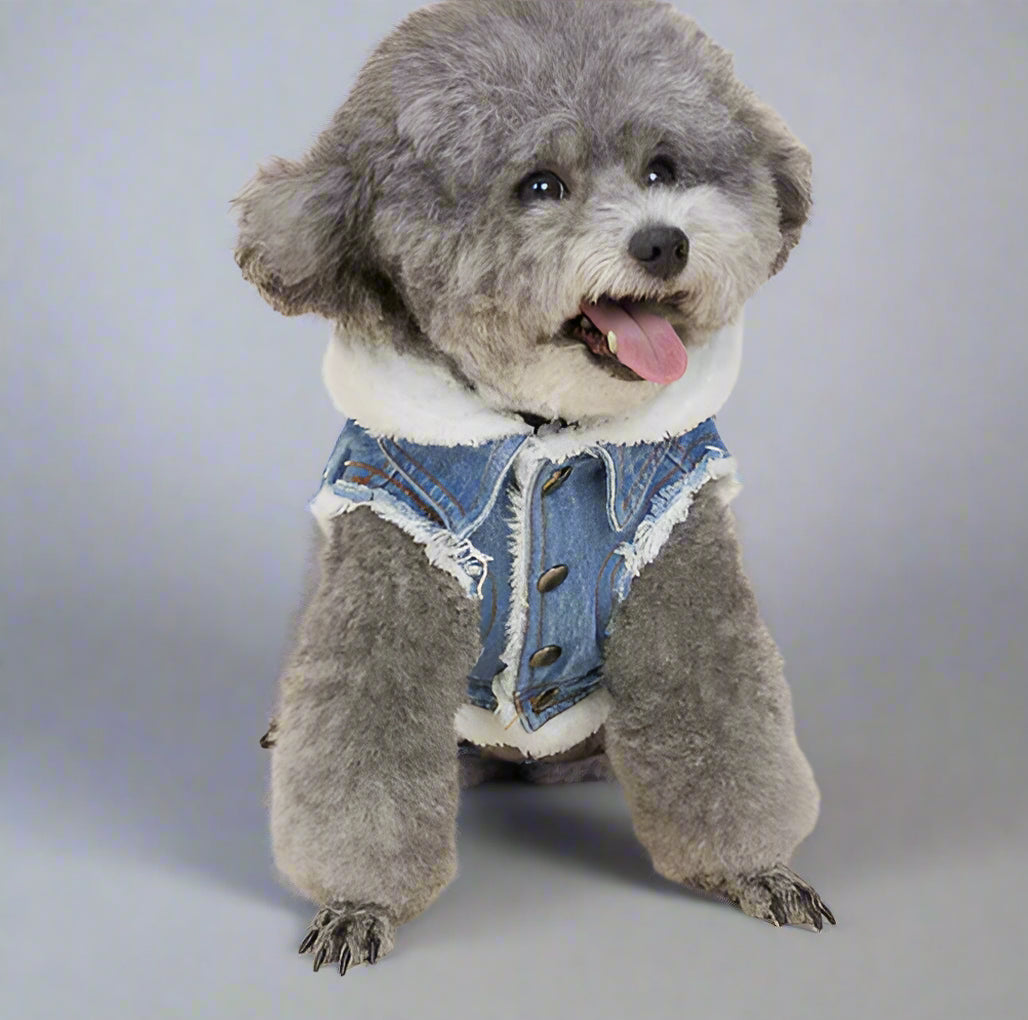 Denim Dog Jacket