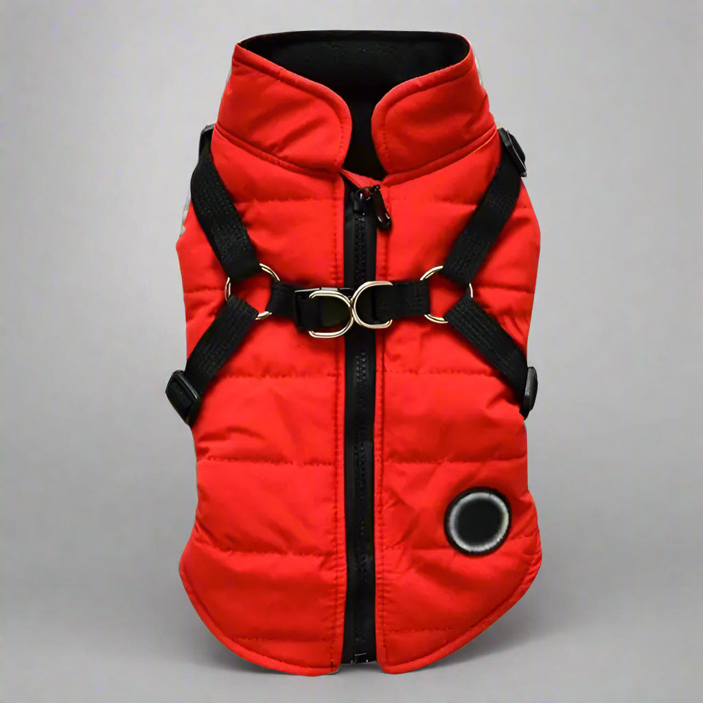 Waterproof Pet Coat with Harness