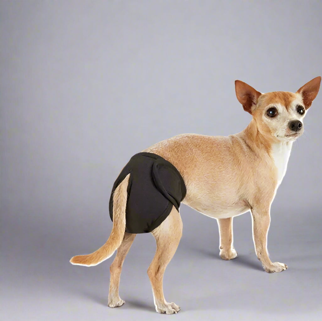 Reusable Dog Diaper