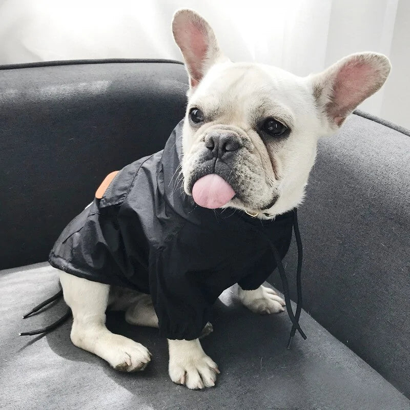 Dog Jacket