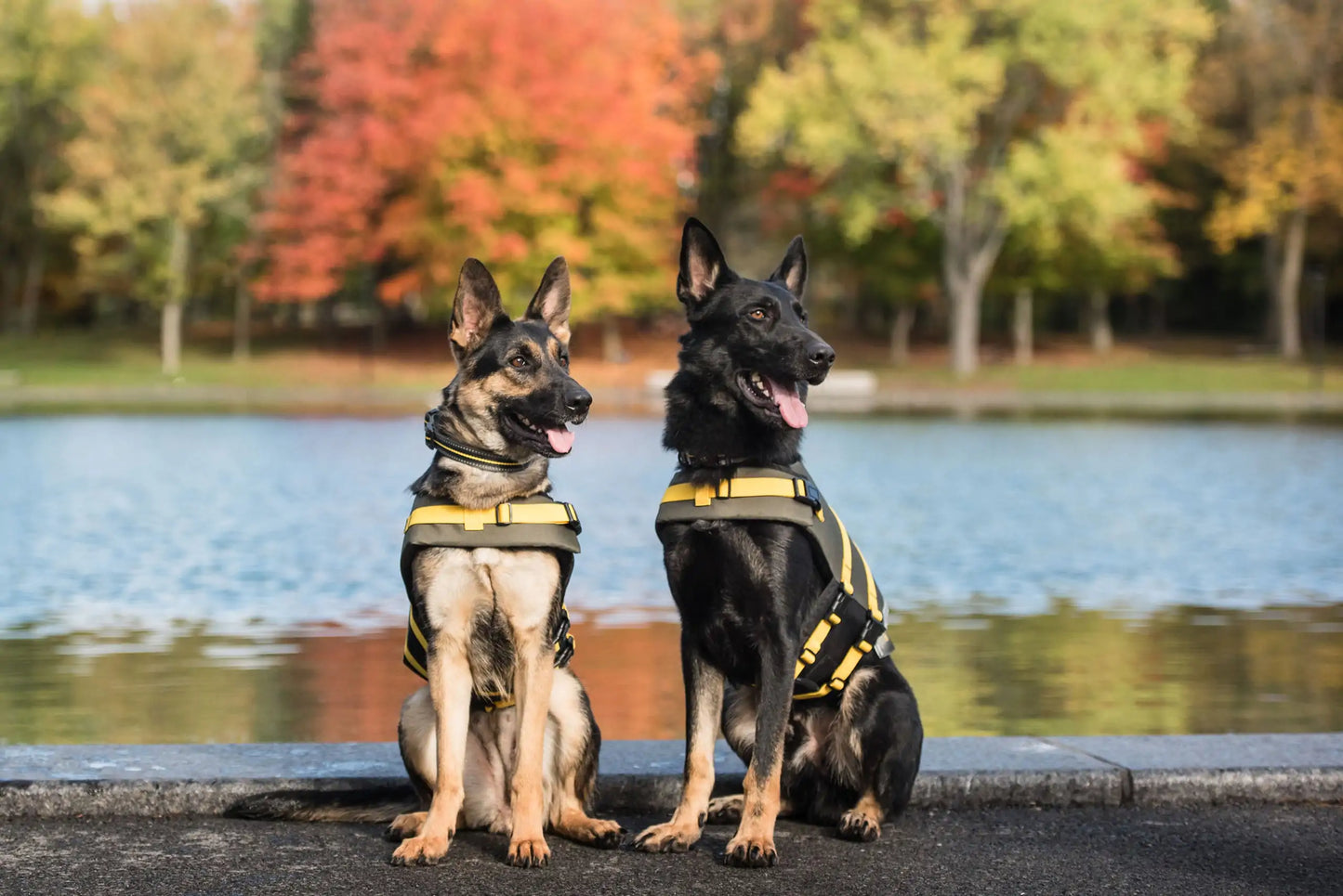 Official US Army Dog Life Vest