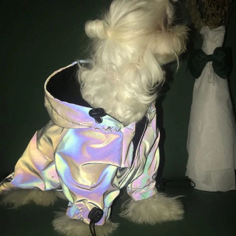 Reflective Dog Hoodie