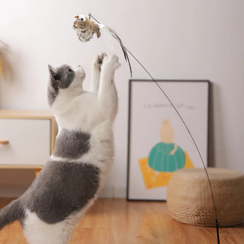 Bird Toy For Cat