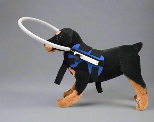 Blind Dog Bumper Collar Harness