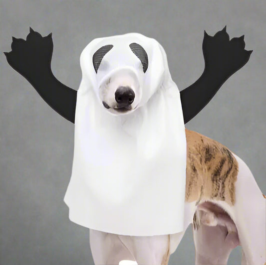 Ghost Dog Costume