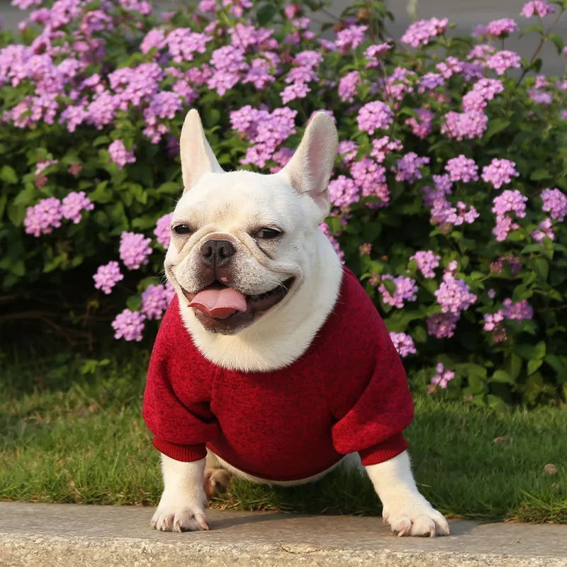 Classic Warm Dog Sweater