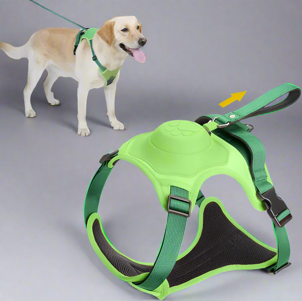 Dog Harness with Retractable Leash