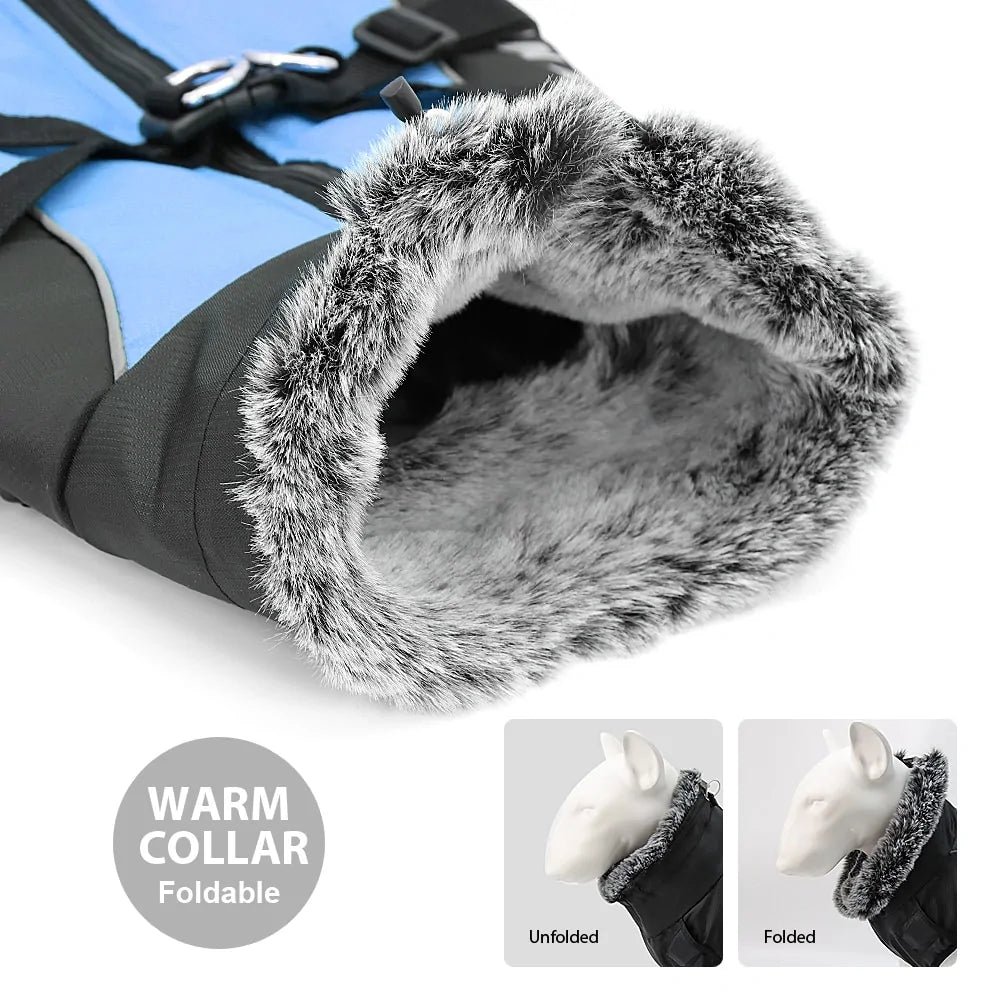 Waterproof Dog Coat with Harness