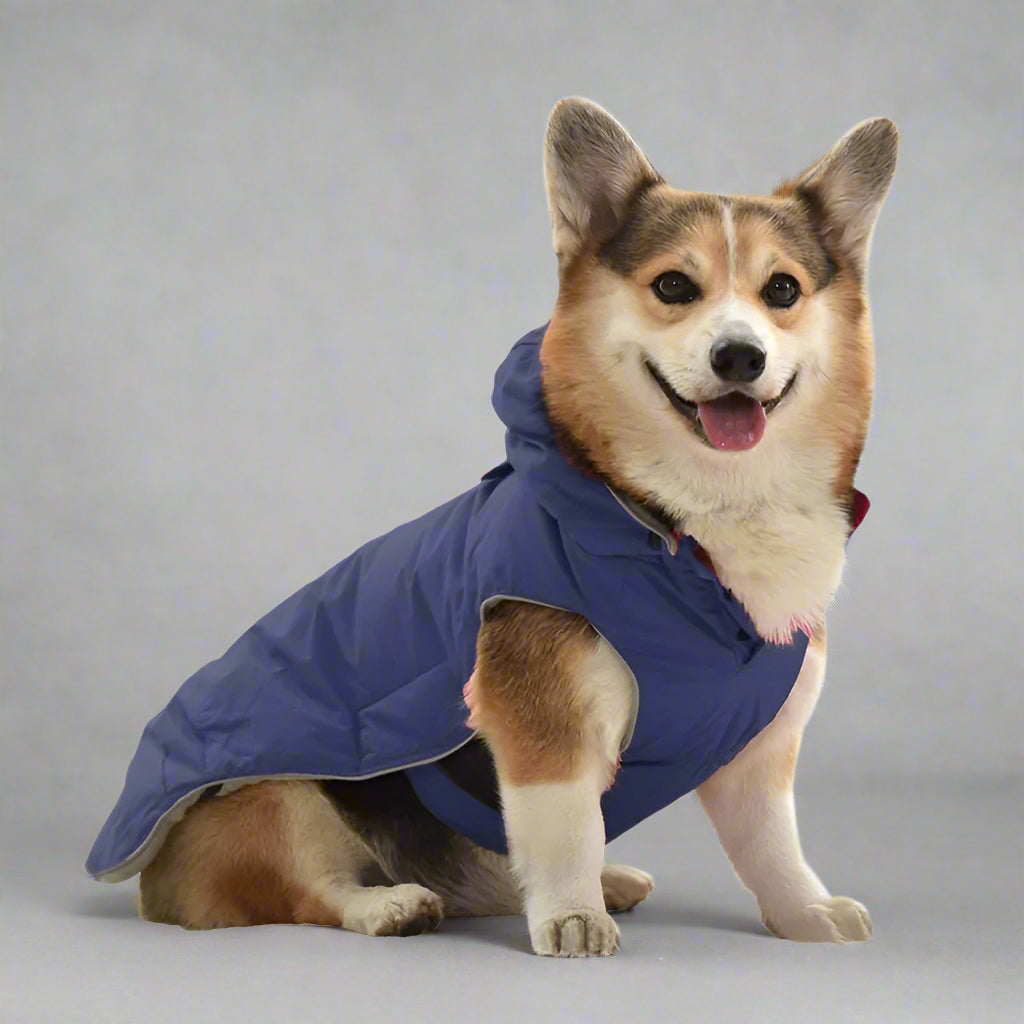 Pet Coat with Harness