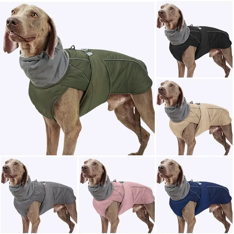 Dog Winter Jacket