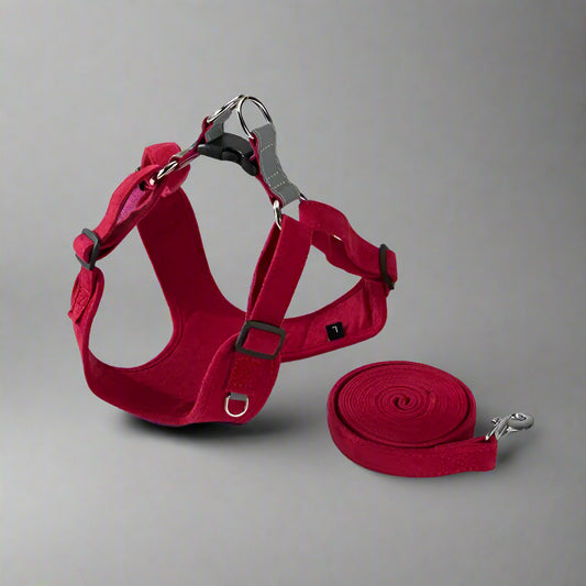 Reflective Dog Harness