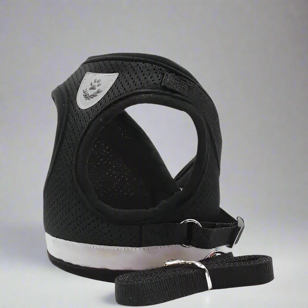 Cat Harness And Leash Set