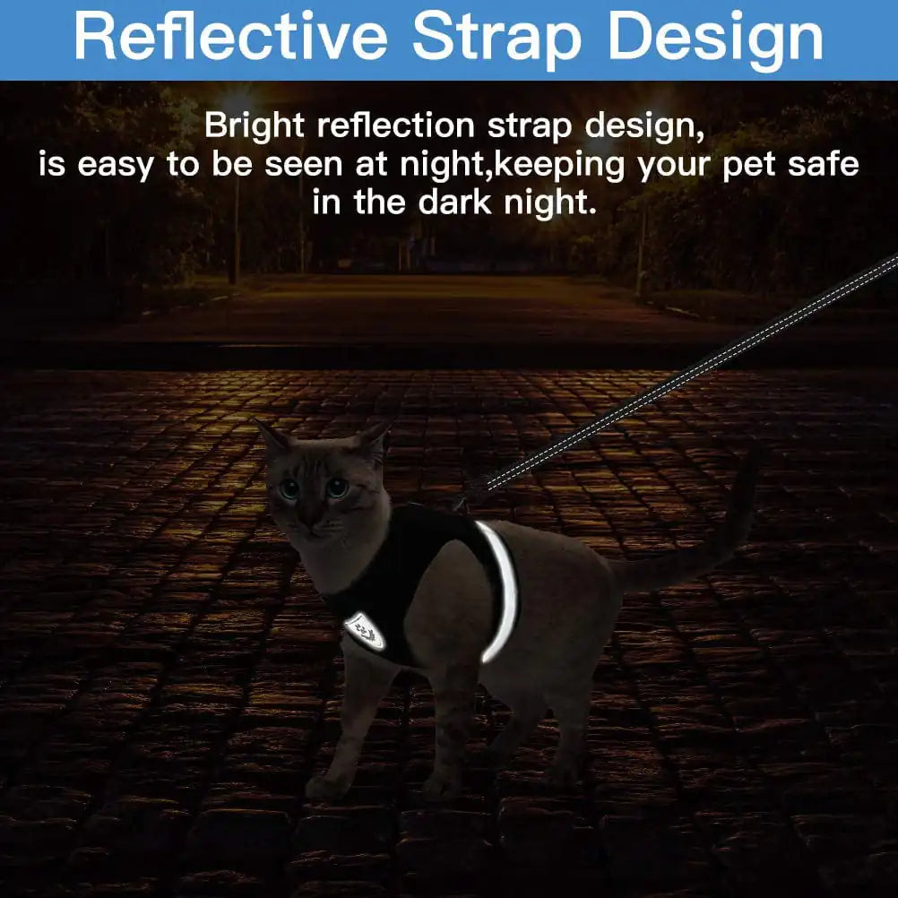 Cat Harness And Leash Set