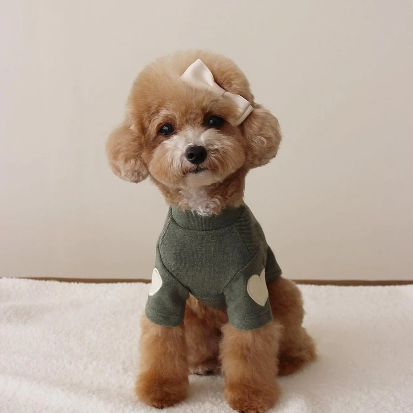 Embroidered Dog Sweater