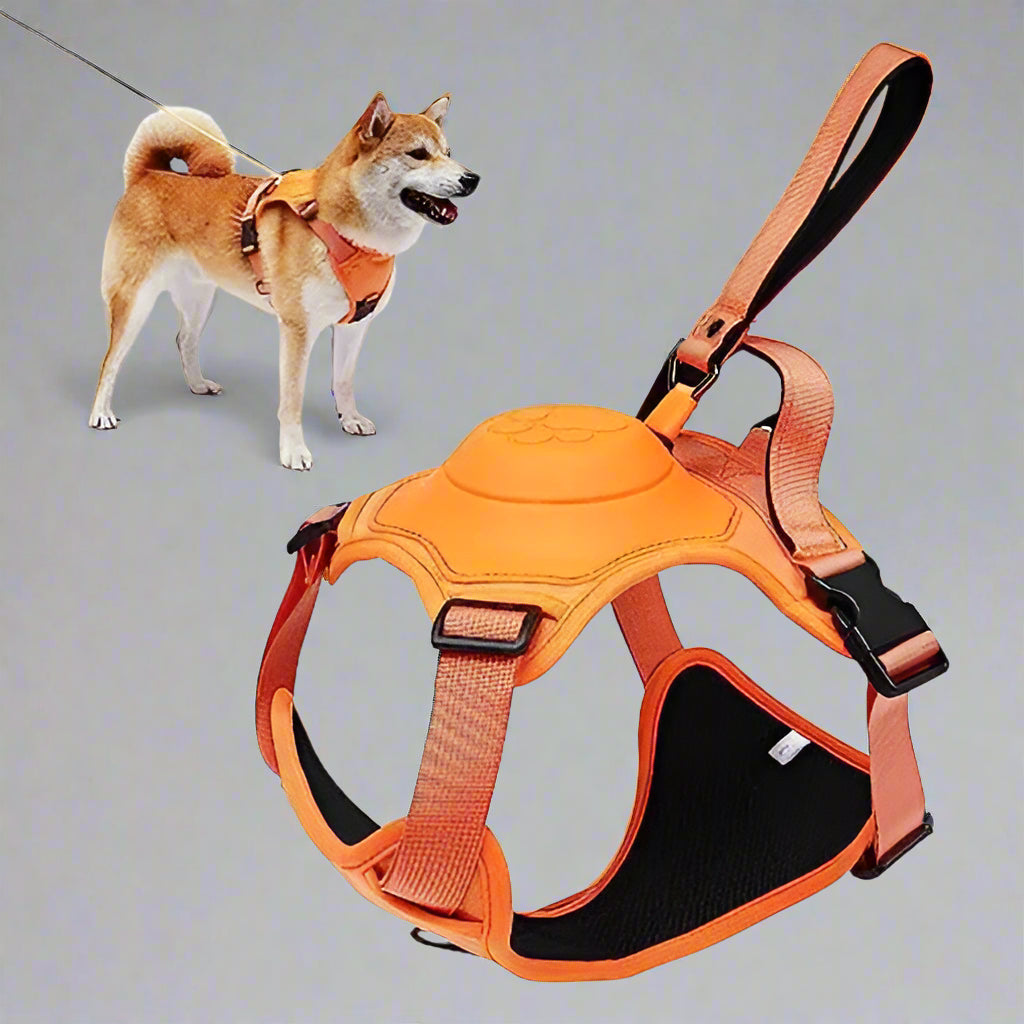 Dog Harness with Retractable Leash