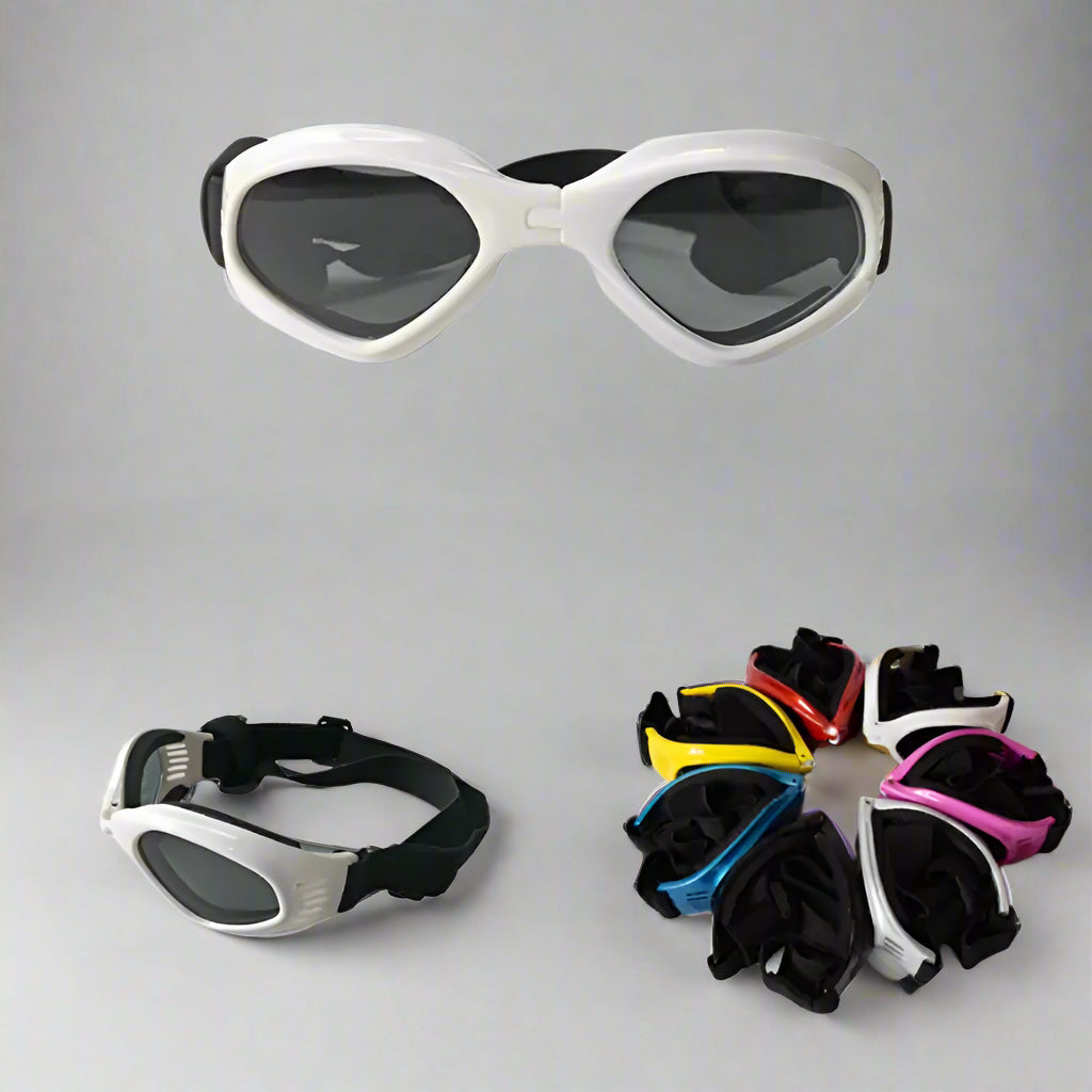 Dog Sunglasses