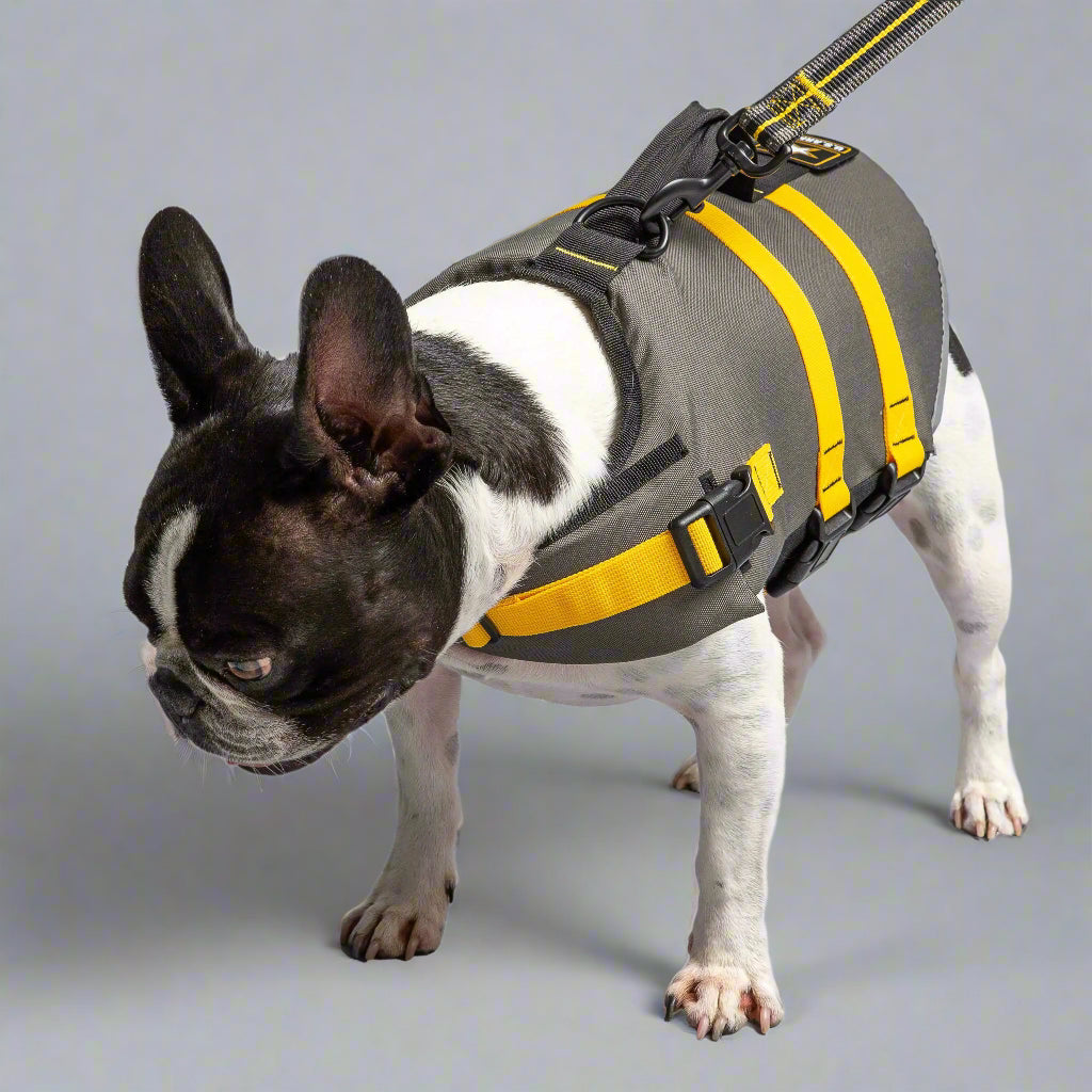 Official US Army Dog Life Vest